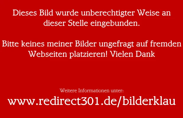 Chrome: Keine Daten empfangen