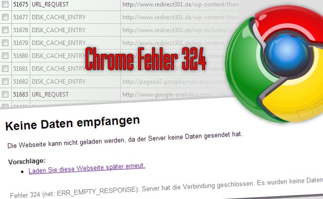Chrome Fehler 324