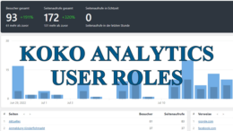Koko Aanalytics User Roles
