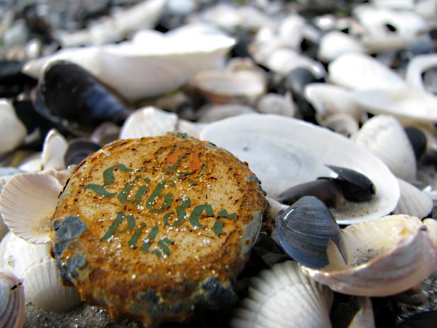 Lübzer Pils Muschel am Strand von Glowe (Insel Rügen)