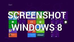 Screenshot Windows 8
