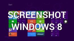 Screenshot Windows 8