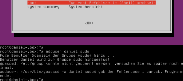 Ubuntu: /etc/group konnte nicht gesperrt werden