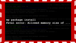 wp-cli: Packages Install Error